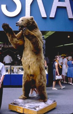 Kodiak Bear - Alaska Pavilion