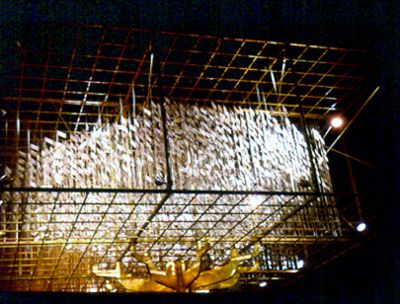 Close-up of American Express "Money Tree" at night
