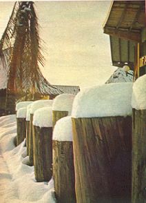 Hawaii Pavilion — Winter 1965