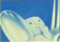 Henry Knox cartoon still