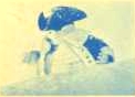 Henry Knox cartoon still