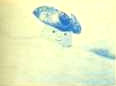 Henry Knox cartoon still