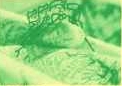 John Glover cartoon still
