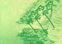John Glover cartoon still
