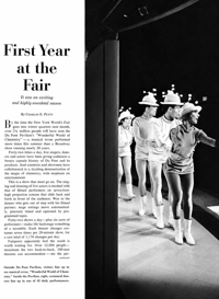 First Year at the Fair article