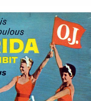 Florida 1965 Official Guide advertisement panel 2