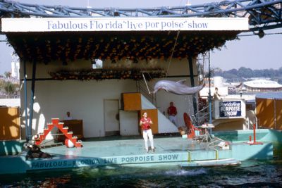 Scene from the Live Porpoise Show