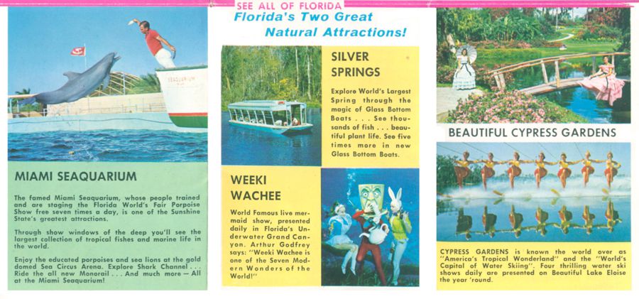 Florida Citrus Water Ski Show pamphlet page 4