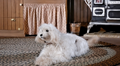 G.E.'s Carousel of Progress - 1920's Dog