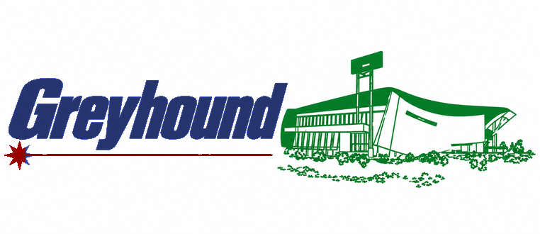 Greyhound