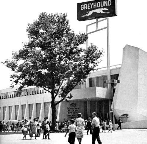 Greyhound Pavilion