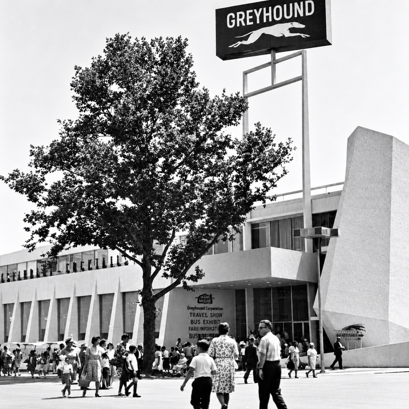 Greyhound — travel exhibits, cooking, and canine fashion show