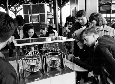Dice Cages Illustriate Probability