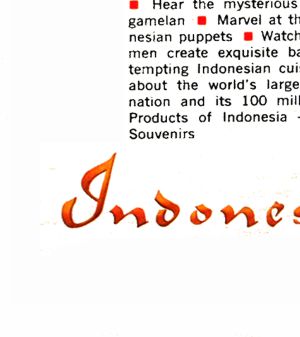 Indonesia advertisement panel 5