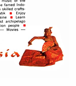Indonesia advertisement panel 6