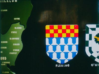 Origin of the name FLEMING in Ireland