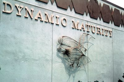 Dynamic Maturity Pavilion sponsored by American Association of Retired Persons