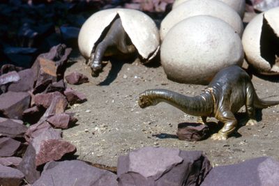 Life-sized replicas of dinosaurs at Sinclair exhibit
