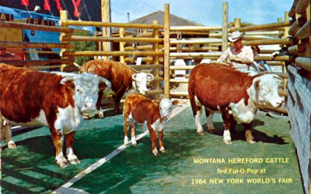 Montana exhibitor postcard No. N/A