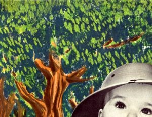 Explore the Enchanted Forest brochure panel 1