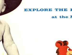 Explore the Enchanted Forest brochure panel 5