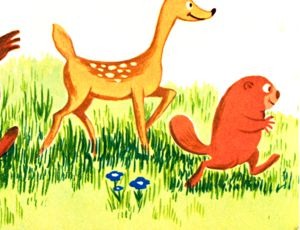 Explore the Enchanted Forest brochure panel 9