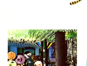 Explore the Enchanted Forest brochure panel 13