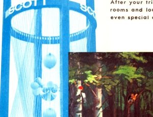 Explore the Enchanted Forest brochure panel 14