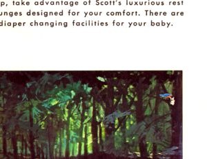 Explore the Enchanted Forest brochure panel 15