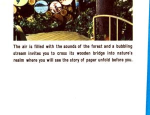 Explore the Enchanted Forest brochure panel 16
