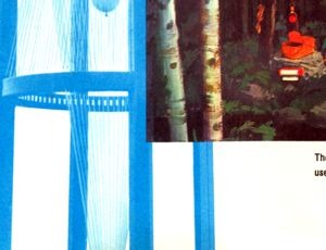 Explore the Enchanted Forest brochure panel 17