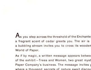 Explore the Enchanted Forest brochure panel 19