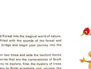 Explore the Enchanted Forest brochure panel 20