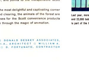 Explore the Enchanted Forest brochure panel 26