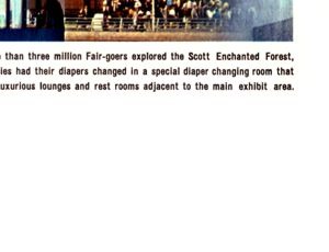 Explore the Enchanted Forest brochure panel 27