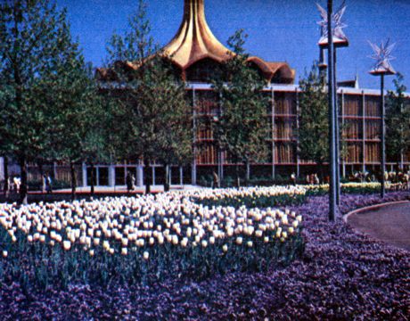 Tulips and pansies near Vatican pavilion
