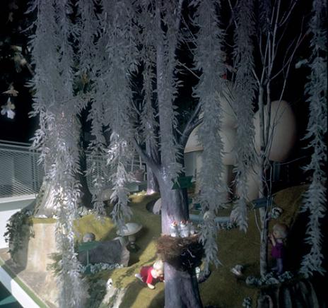 Land of Enchantment interior