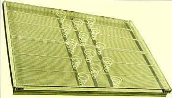 Early wire mattress