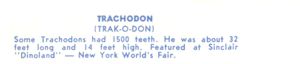 Trachodon postcard reverse