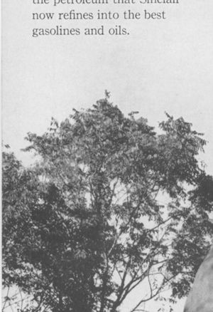 Sinclair advertisement