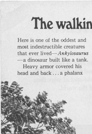 Sinclair advertisement