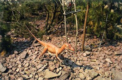 Ornitholestes at Sinclair Dinoland