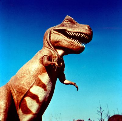 Giant T-Rex inside the Sinclair Dinoland