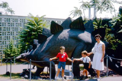 Sinclair Dinoland - Stegosaurus