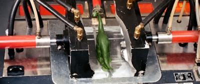 Mold-A-Rama Machines Create a Brontosaurus