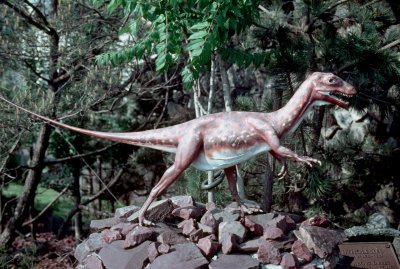 Everybody's favorite at the top of the hill -- Brontosaurus!