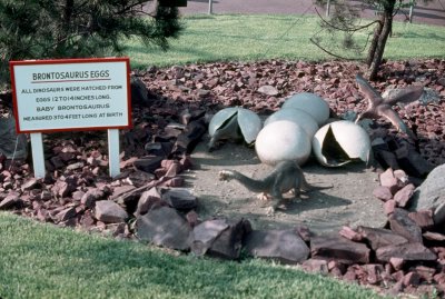 Sinclair Dinoland