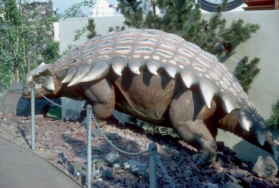 Sinclair Dinoland