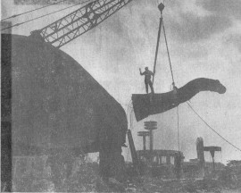 Sinclair Dinoland