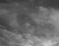 Electric Power & Light Archival Photograph - nywf64.com Collection